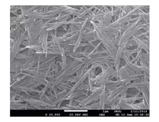 editor1528903120507361.jpg 1.jpg