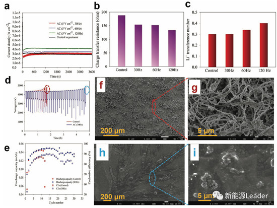 editor1552380957837841.jpg 32.jpg